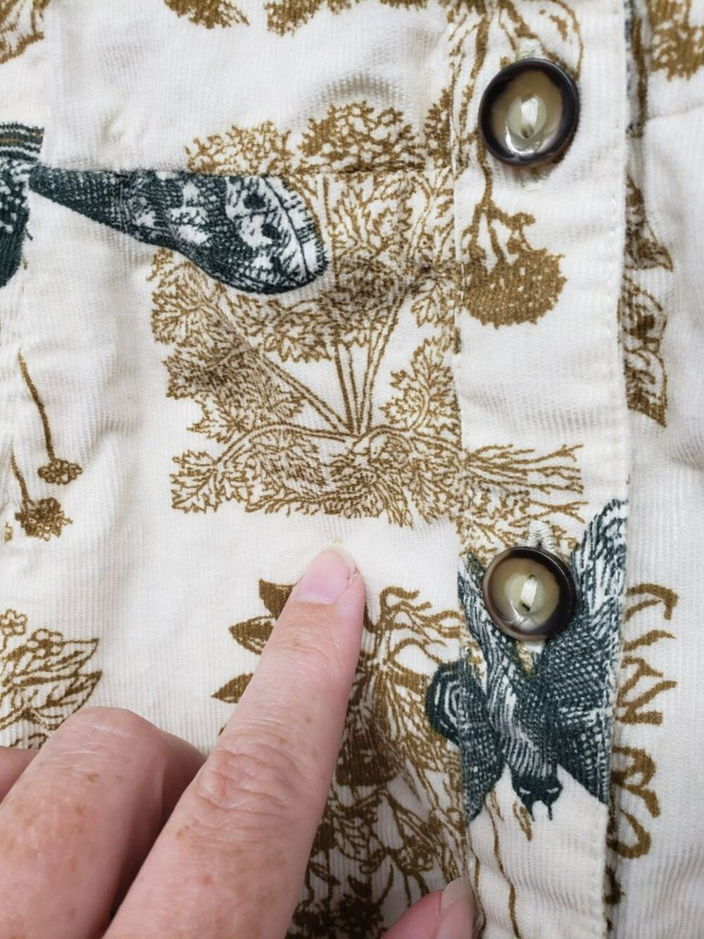 Anthropologie Girls from Savoy Alary Shirt Dress Corduroy Bird Butterfly Twee - Picture 9 of 11